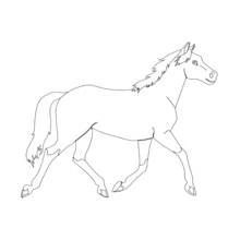 Pony trotting gracefully coloring page