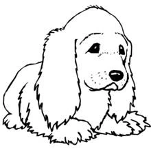 Puppy lying down with long ears coloring page