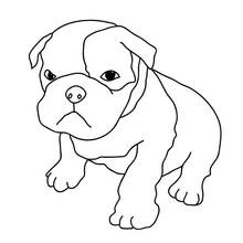 Boxer puppy sitting with tilted head coloring page