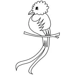 Quetzal - Free printable coloring pages