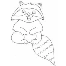 Raccoon sitting with a big fluffy tail coloring page