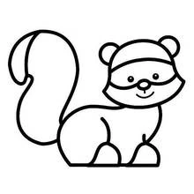 Raccoon with a big curled tail coloring page