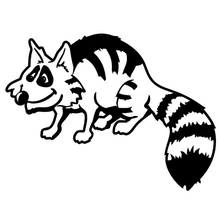 Raccoon walking with striped tail raised coloring page