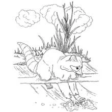Raccoon fishing by the river coloring page