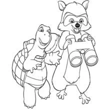 Raccoon with binoculars next to a turtle coloring page