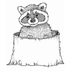 Raccoon peeking over a log coloring page