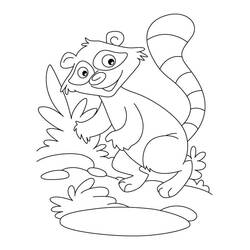 Raccoon smiling near a bush coloring page