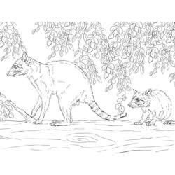 Raccoon mother and kit by the water coloring page