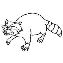 Raccoon walking with striped tail coloring page