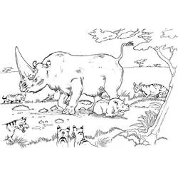 Rhinoceros - Free printable coloring pages