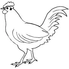 Rooster standing with tail feathers raised coloring page