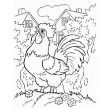 Rooster crowing in a garden coloring page