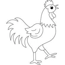 Rooster walking proudly coloring page