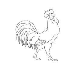 Rooster standing proudly coloring page