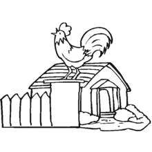 Rooster crowing on a barn roof coloring page