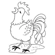 Rooster crowing proudly coloring page
