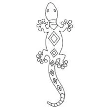 Salamander - Free printable coloring pages
