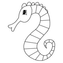 Seahorse - Free printable coloring pages