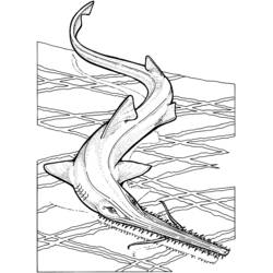 Sawshark diving underwater coloring page