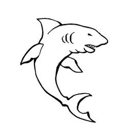 Shark with jaws open coloring page