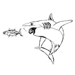 Shark chasing a small fish coloring page