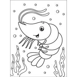 Shrimp - Free printable coloring pages