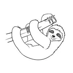 Sloth - Free printable coloring pages