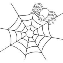 Spider - Free printable coloring pages