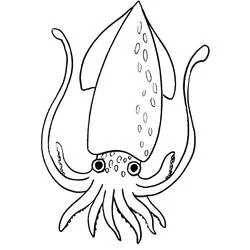 Squid - Free printable coloring pages