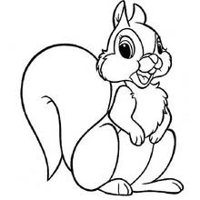 Squirrel - Free printable coloring pages
