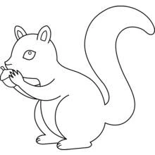 Squirrel holding an acorn coloring page