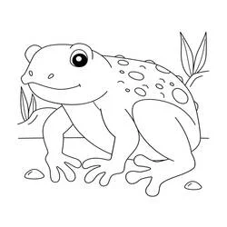 Toad with spots and plants coloring page