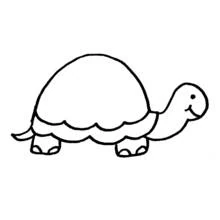 Tortoise - Free printable coloring pages