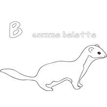 Weasel - Free printable coloring pages