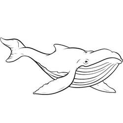 Blue Whale swimming gracefully coloring page