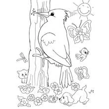 Woodpecker - Free printable coloring pages