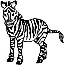 Zebra standing and facing forward coloring page