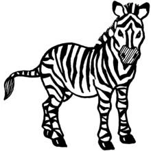 Zebra standing and looking forward coloring page