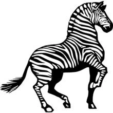 Zebra walking with head turned coloring page