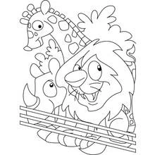 Giraffe, rhino and lion behind the fence coloring page