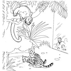 Monkey and leopards at the zoo enclosure coloring page