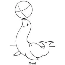 Seal balancing a ball on its nose coloring page