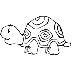 Turtle with a patterned shell coloring page