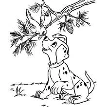 Dalmatian puppy looking at birds on a branch coloring page