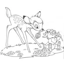 Bambi and Thumper sharing a flower coloring page