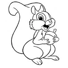 Squirrel holding an acorn coloring page