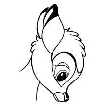 Bambi close-up portrait with big eye coloring page