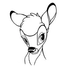 Bambi's face in close-up coloring page