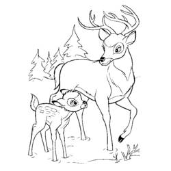 Bambi walking with his father coloring page