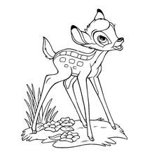 Bambi standing among grass and flowers coloring page